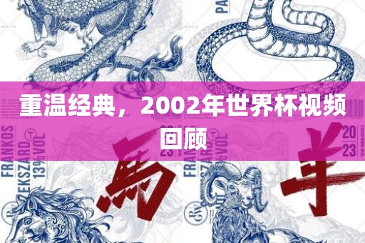 重温经典，2002年世界杯视频回顾金炬实业股份有限公司