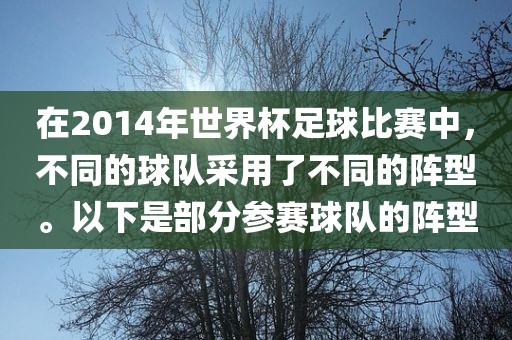 在2014年世界杯足球比赛中，不同的球队采用了不同的阵型。以下是部分参赛球队的阵型