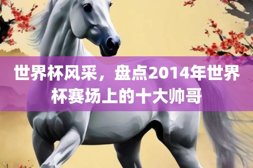 世界金炬实业股份有限公司杯风采，盘点2014年世界杯赛场上的十大帅哥