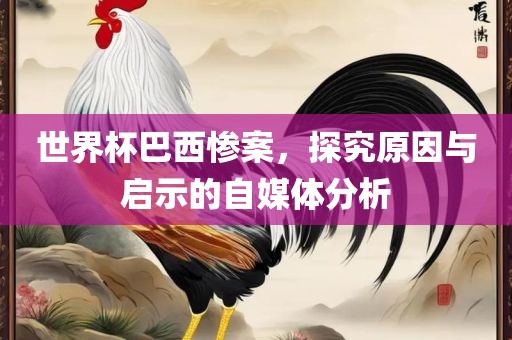 世界杯巴西惨案，探究原因与启示的自媒体分析金炬实业股份有限公司