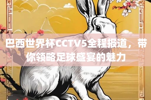 巴西世界杯CCTV5全程报道，带你领略足球盛宴的魅力金炬实业股份有限公司