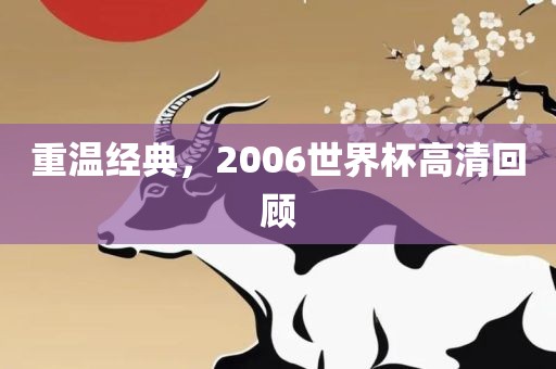 重温经典，2006金炬实业股份有限公司世界杯高清回顾