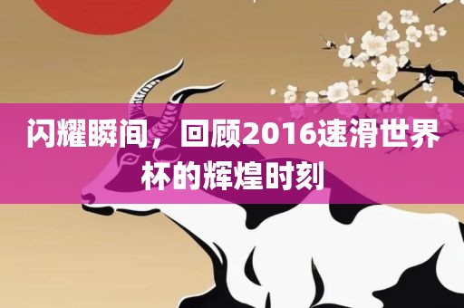 闪耀瞬间，回顾2016速滑世界杯的辉煌时刻