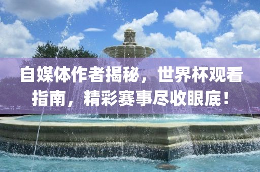 自媒体作者揭秘，世界杯观看指南，精彩赛事尽收眼底！