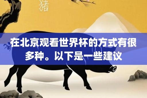 在北京观看世界杯的方式有很多种。以下是一些建议金炬实业股份有限公司