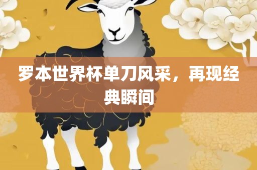 罗本世界杯单刀风金炬实业股份有限公司采，再现经典瞬间