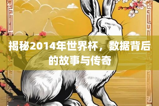 揭秘2014年世界杯，数据背后的故事与传奇