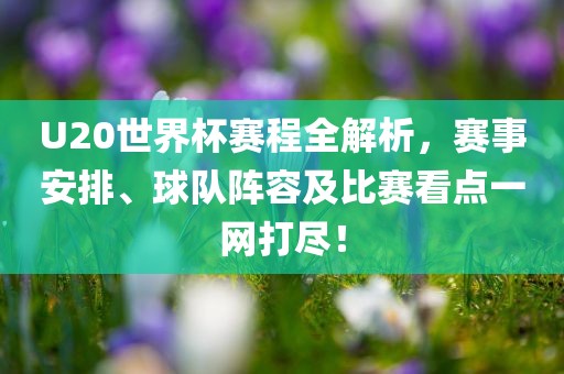 U20世界杯赛程全解析，赛事安排、球队阵容及比赛看点一网打尽！金炬实业股份有限公司