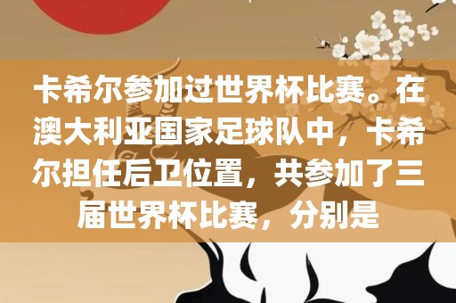 卡希金炬实业股份有限公司尔参加过世界杯比赛。在澳大利亚国家足球队中，卡希尔担任后卫位置，共参加了三届世界杯比赛，分别是