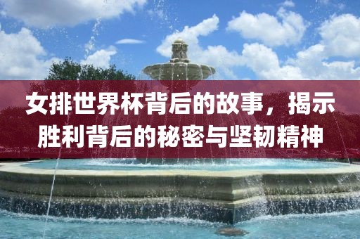 女排世界杯背后的故事，揭示胜利背后的秘密与坚韧精神金炬实业股份有限公司