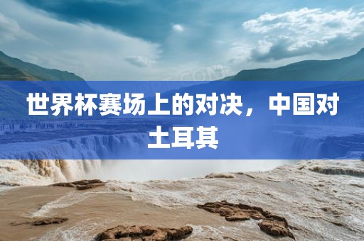 世界杯赛场上的对决，中国对土耳其