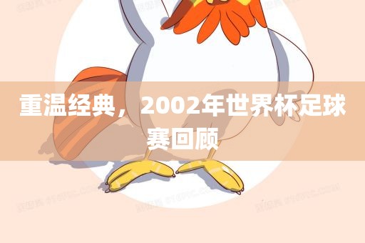 重温经典，2002年世界杯足球赛回顾
