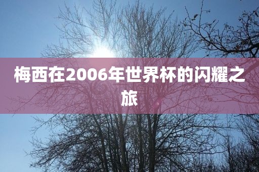 梅西在2006年世界杯的闪耀之旅金炬实业股份有限公司