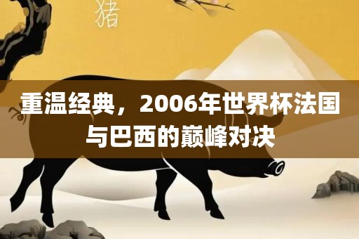 重温经典金炬实业股份有限公司，2006年世界杯法国与巴西的巅峰对决