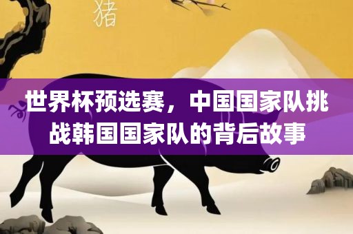 世界杯预选赛，中国国家队挑战韩国国家队的背后故事金炬实业股份有限公司