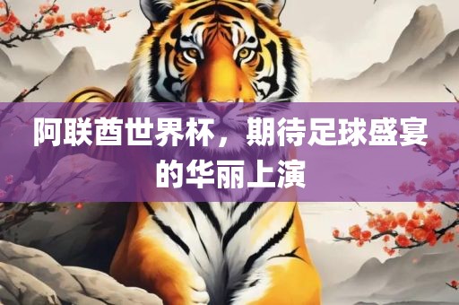 阿联酋世界杯，期待足球盛宴的华丽上演金炬实业股份有限公司