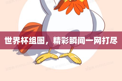 世界杯组图，精彩瞬间一网打尽