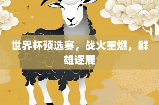 世界杯预选赛，战火重燃，群雄逐鹿金炬实业股份有限公司