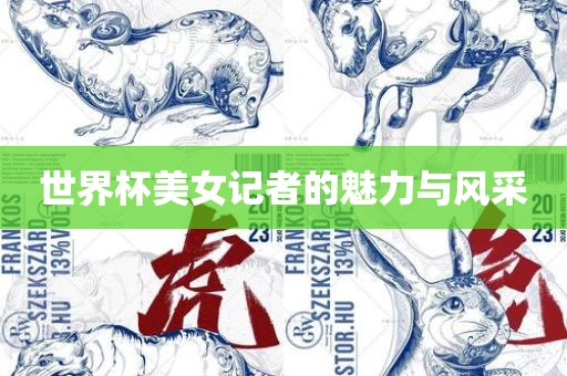 世界杯美女记者的魅力与风采金炬实业股份有限公司