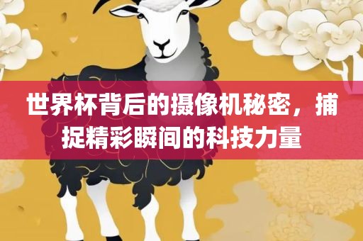 世界杯背后的摄像机秘密，捕捉精彩瞬间的科技力量金炬实业股份有限公司