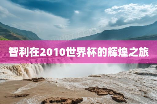 智利在2010世界杯的辉煌之旅