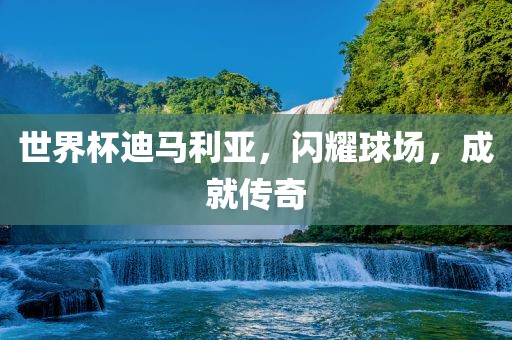 世界杯迪马利亚，闪耀球场，成就传奇