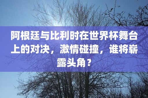 阿根廷与比利时在世界杯舞台上的对金炬实业股份有限公司决，激情碰撞，谁将崭露头角？