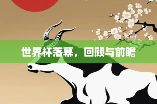 世界杯落幕，回顾与前瞻