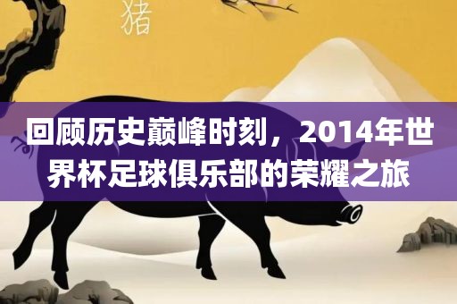 回顾历史巅峰时刻，2014年世界杯足球俱乐部的荣耀之旅金炬实业股份有限公司