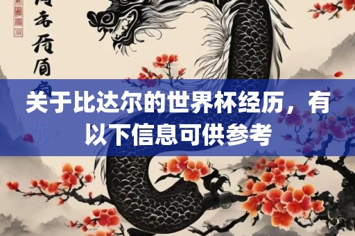 关于比达尔的世界杯经历，有以下信息可供参考金炬实业股份有限公司