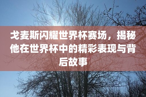 戈麦斯闪耀世界杯赛场，揭秘他在世界杯中的精彩表现与背后故事