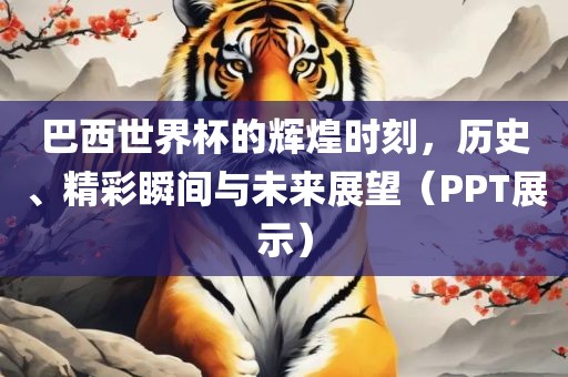 巴西世界杯的辉煌时刻，历史、精彩瞬间与未来展望（PPT展示）