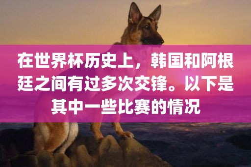 在世界杯历史上，韩国和阿根廷之间有过多次交锋。以下是其中一些比赛的情况