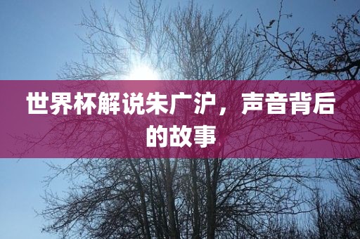 世界杯解说朱广沪，声音背后的故事