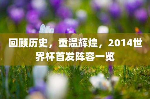 回顾历史，重温辉煌，2014世界杯首发阵容一览金炬实业股份有限公司