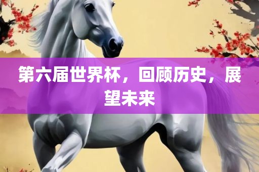 第六届世界杯，回顾历史，展望未来