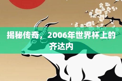 揭秘传奇，2006年世界杯上的齐达内
