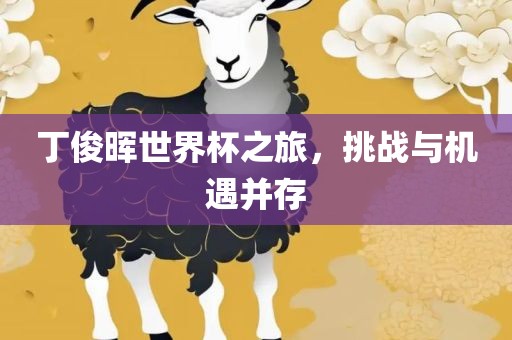 丁俊晖世界杯之旅，挑战与机遇并存