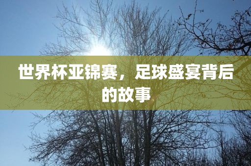 世界杯亚锦赛，足球盛宴背后的故事金炬实业股份有限公司