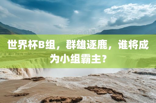 世界杯B组，群雄逐鹿，谁将成为小组霸主？