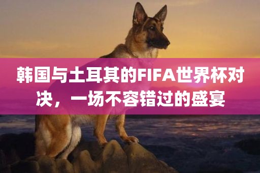韩国与土耳其的FIFA世界杯对决金炬实业股份有限公司，一场不容错过的盛宴