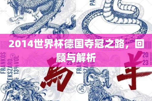 2014世界杯德国夺冠之路，回顾与解析