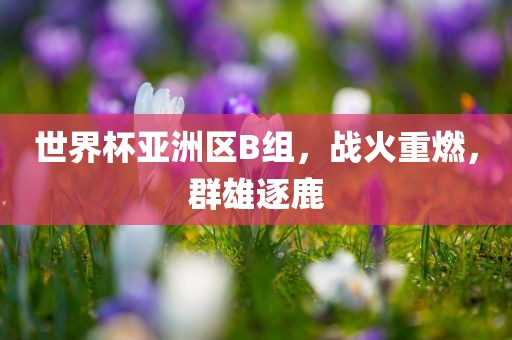 世界杯亚洲区B组，战火重燃，群雄逐鹿