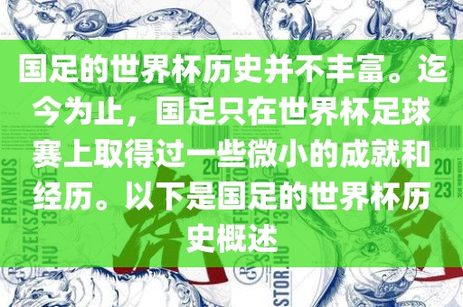 国足的世界杯历史并不丰富。迄今为止，国足只在世界杯足球赛上取得过一些微小的成就和经历。以下是国足的世界杯历史概述