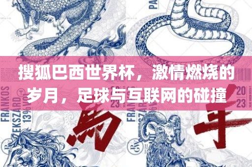 搜狐金炬实业股份有限公司巴西世界杯，激情燃烧的岁月，足球与互联网的碰撞