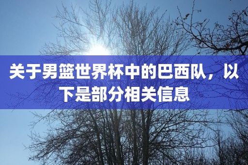 关于男篮世界杯中的巴西队，以下是部分相关信息金炬实业股份有限公司
