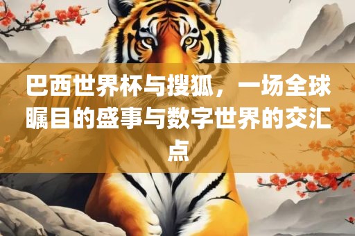 巴西世界杯与搜狐，一场全球瞩目的盛事与数字世界的交汇点金炬实业股份有限公司