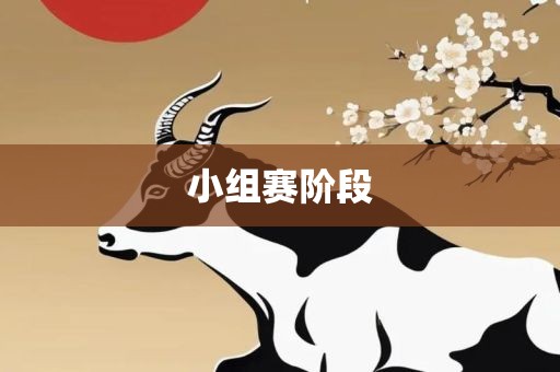 小组金炬实业股份有限公司赛阶段