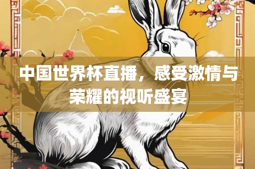 中国世界杯直播，感受激情与荣耀的视听盛宴金炬实业股份有限公司