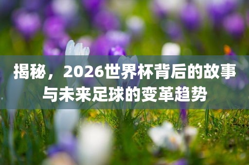 揭秘，2026世界杯背后的故事与未来足球的变革趋势